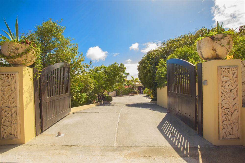 Anguilla'S Bird Of Paradise バレー エクステリア 写真