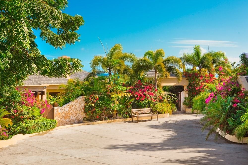 Anguilla'S Bird Of Paradise バレー エクステリア 写真
